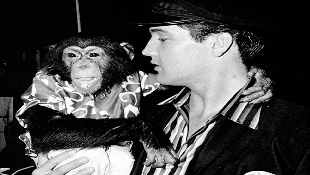 Elvis Presley con su mono, Skatter