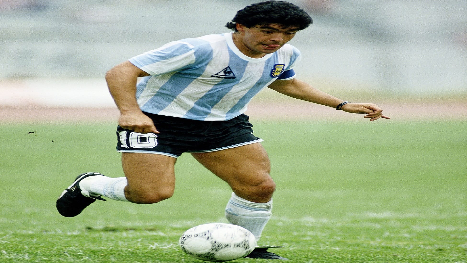 MARADONA 【 Biografía ⊛ Palmarés ⊛ Curiosidades