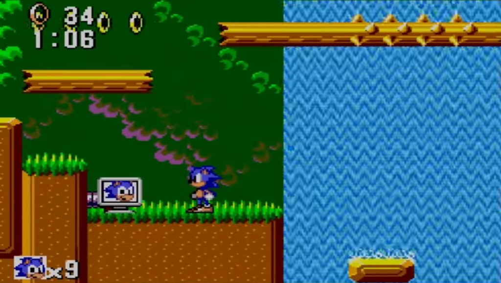 Sonic The Hedgehog: jungle