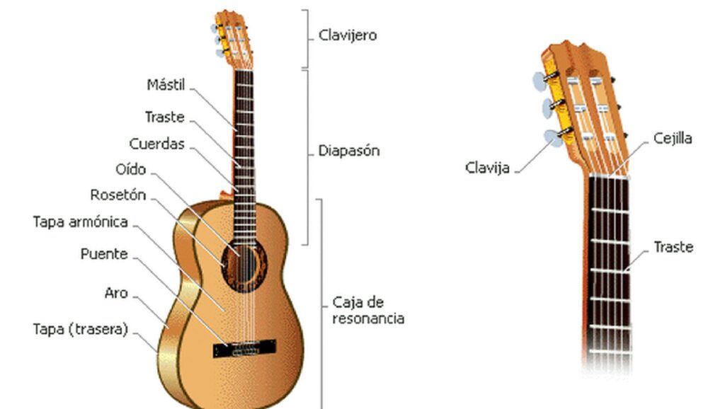 Partes de una guitarra