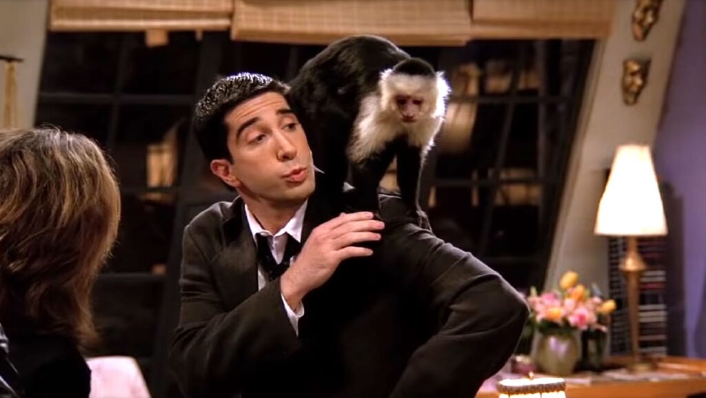 David Schwimmer en "Friends" junto a su mono "Marcel"