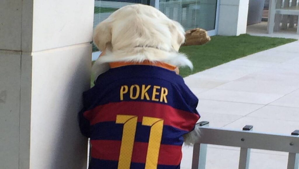 El perro de Neymar, llamado Poker