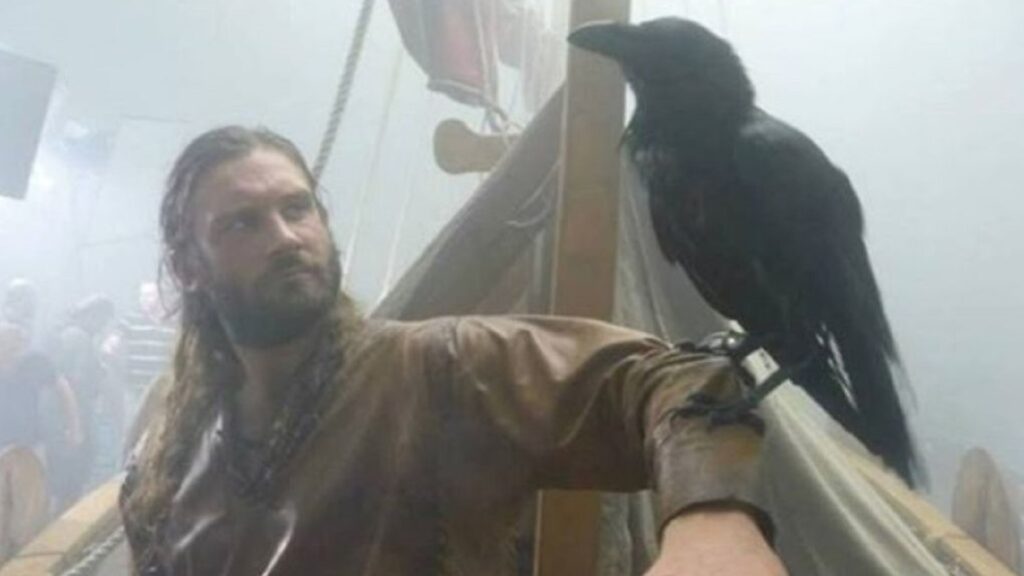 Rollo con un cuervo en "Vikingos"