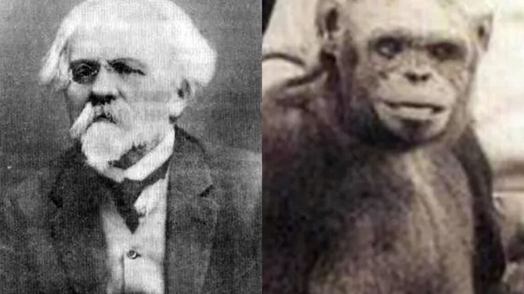 Ilya Ivanovich Ivanov y un chimpancé