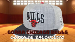 Gorra Chicago Bulls Gris/Negro