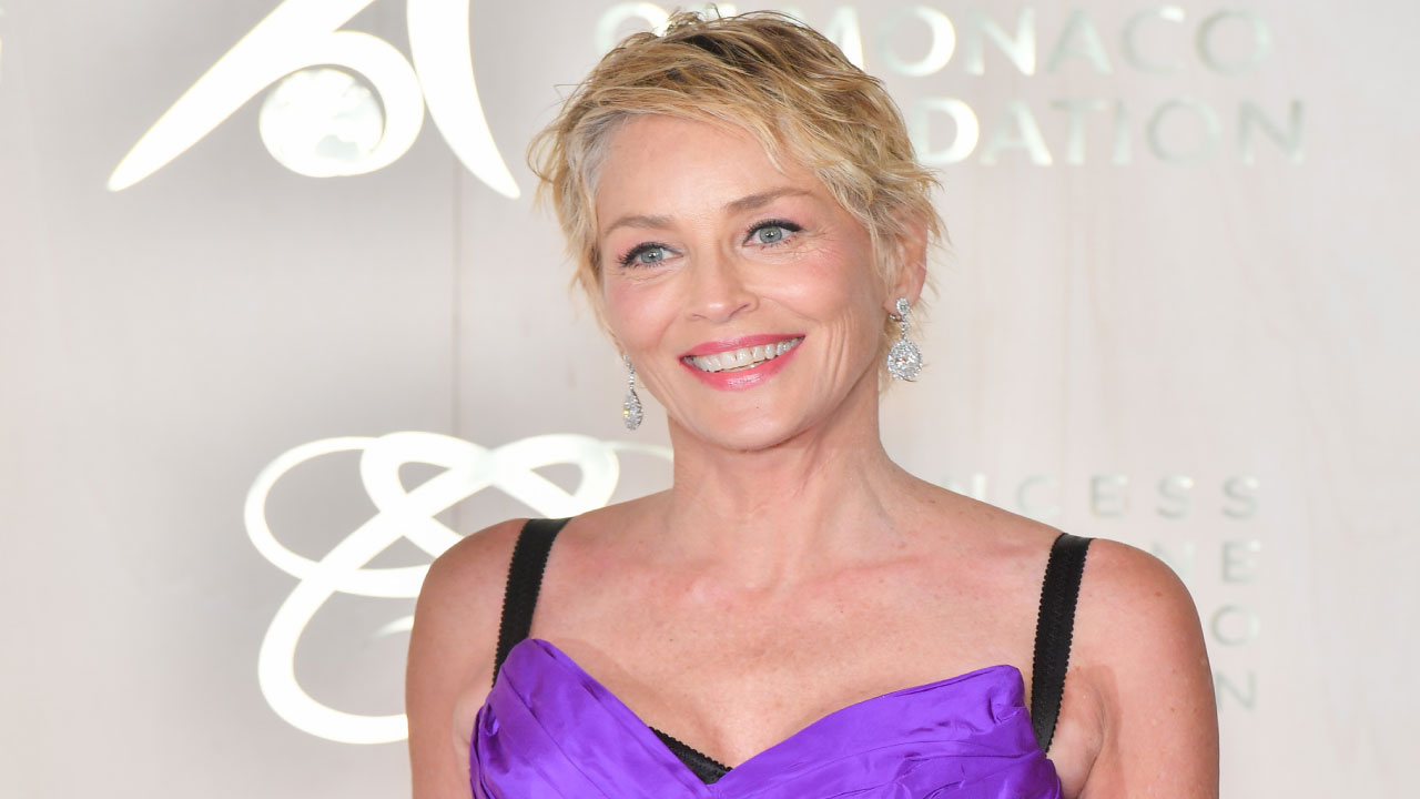 Sharon Stone: La actriz y su legado en el cine de Hollywood